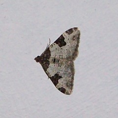 Der Aufbruch - Vollständig