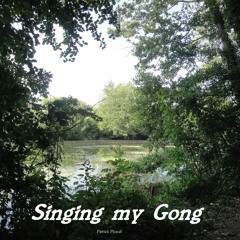Singing my Gong