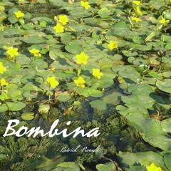 Bombina