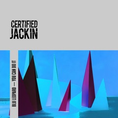 FREE DOWNLOAD: Blu Leopard — You Can Do It