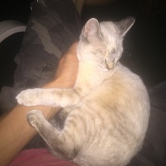 Swamp Mix ft. Lost Cat