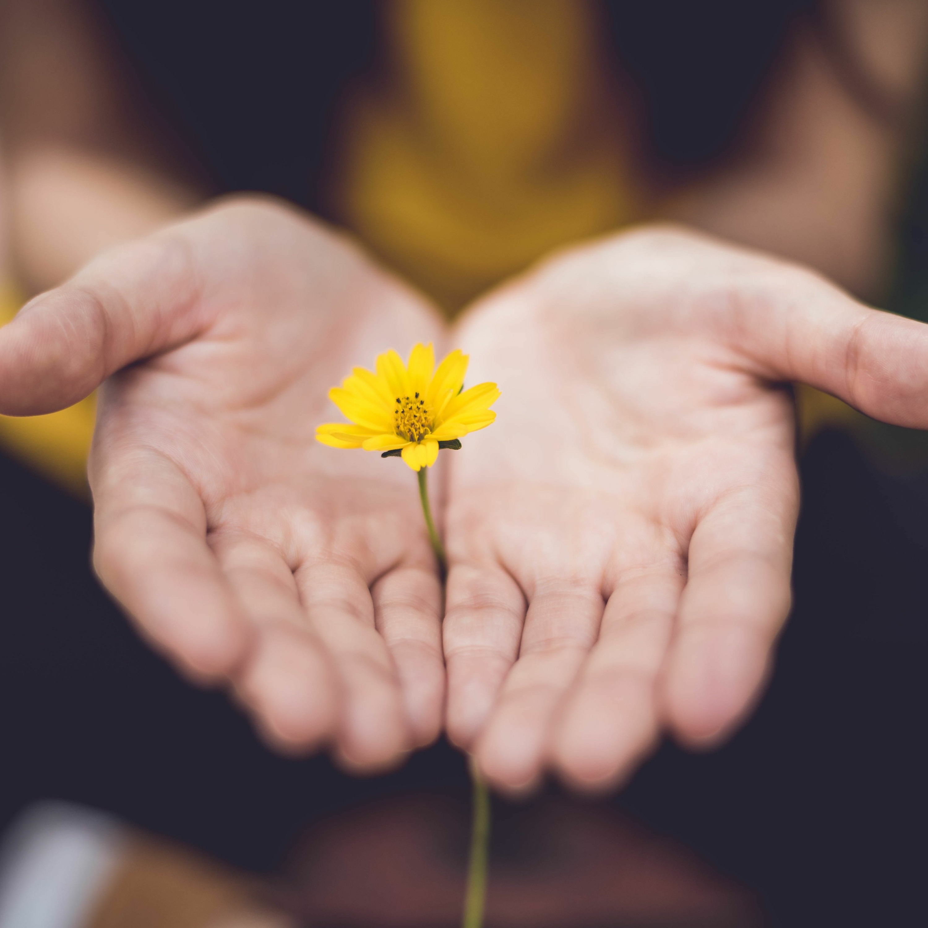 Talking Joy Podcast