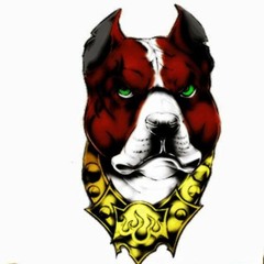 === TROPA DOS PITBULL DA IGREJINHA ((( DJ LOIRYNHO )))