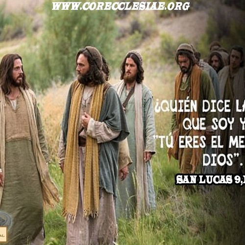 Stream Homilia Del 15 De Agosto 2019 San Lucas 1,39 - 56 by Cor Ecclesiae