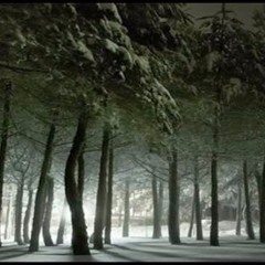 A Forest , Glasgow boy