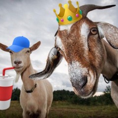BACKABACK! x QUADRACUP [Prod Seinssucrer]