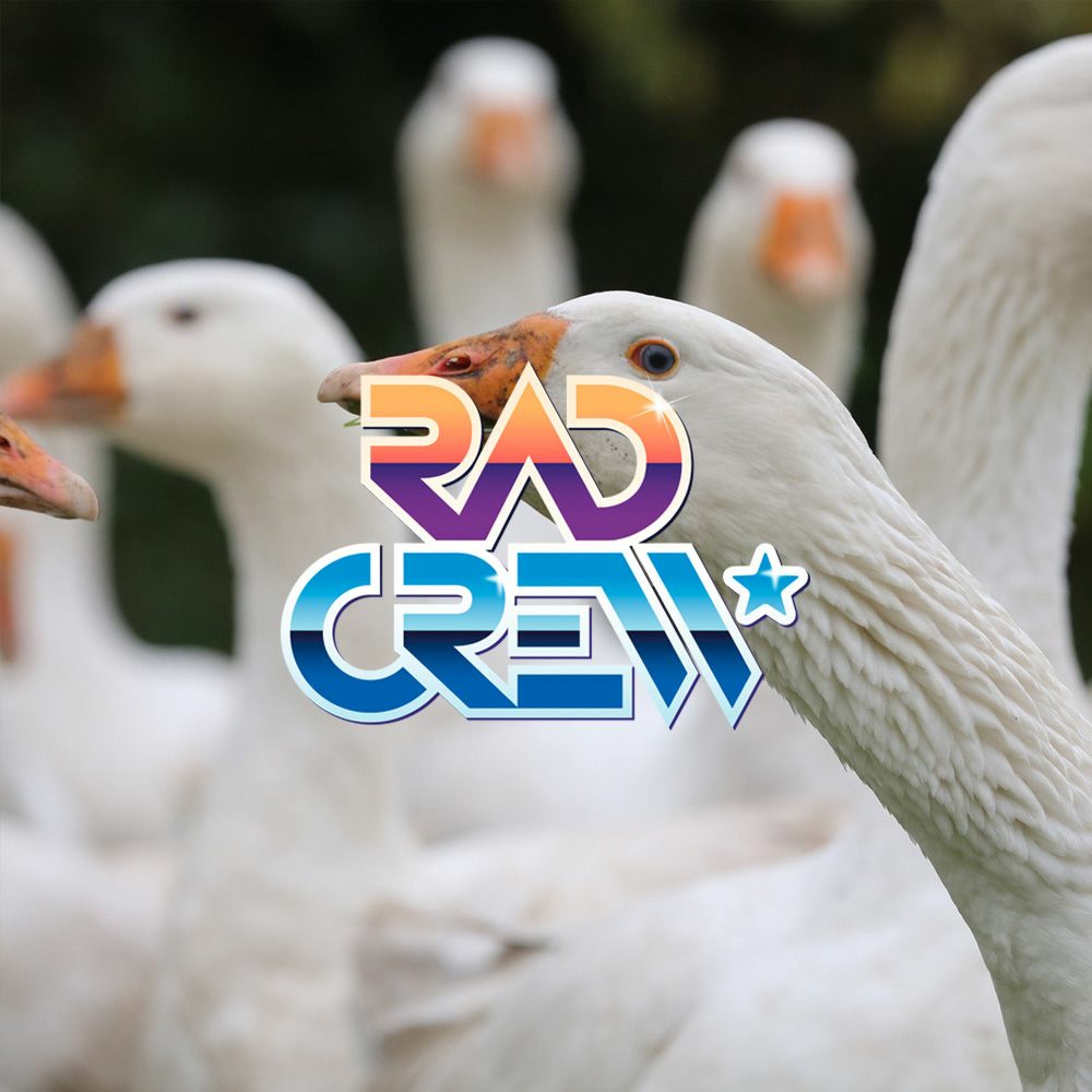 Rad Crew S18E13: Metal Goose Solid og Link våkner opp episode artwork