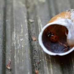 Broken Inside(by M0l1y)REMIX