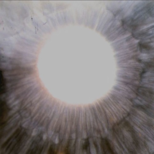 Zero - Look At Me Now (Nederkant's Donktek Breakleg)