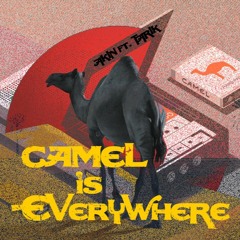 Camel Is Everywhere
