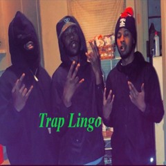 Trap Lingo ft NoxSafety