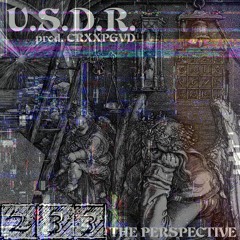 The Perspective By U.S.D.R. (prod. CRXXPGVD)