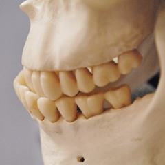 Teeth (demo 260919)