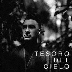 Tesoro Del Cielo