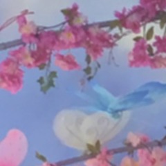 Running To The Next Bus Stop