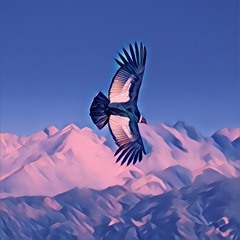 Poderoso Condor