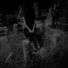 Niedergeschlagenheit - The Walls Speak Of Past Miseries