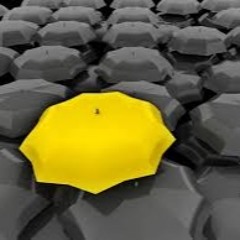 Mi lehetséges a beilleszkedésen túl? - What’s Possible Beyond Fitting In?