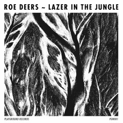 EXCLUSIVE: Roe Deers - Tensions (Zombies In Miami Remix) [Playground Records]
