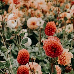 Le festin by Camille but you're in gusteau's restaurant