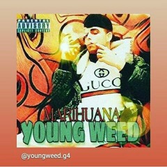 marihuana-young-weed.mp3