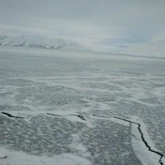 Underwater 'Bodies of water' - Commissioned composition