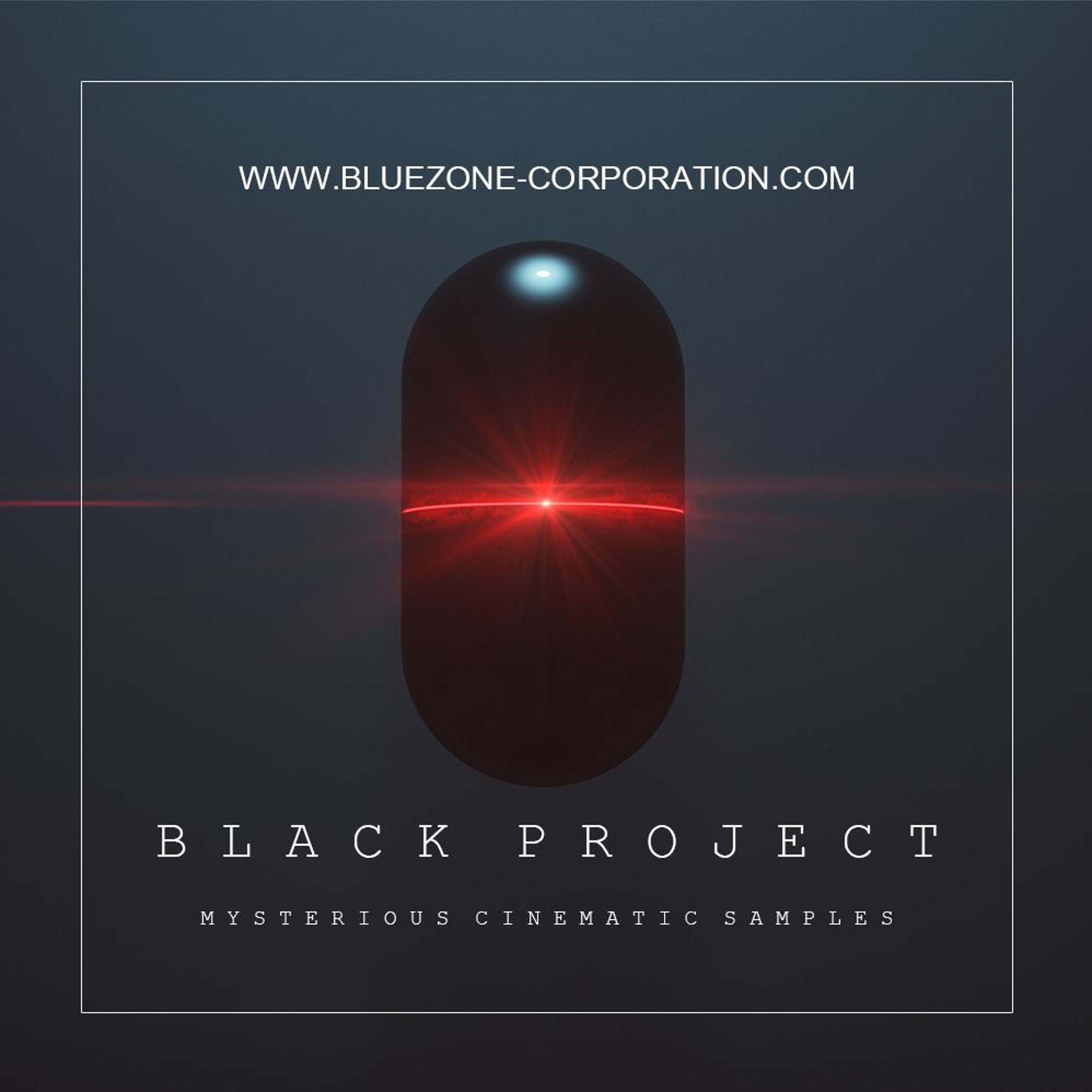 Bluezone Corporation