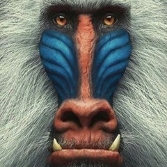 rafiki is walkin