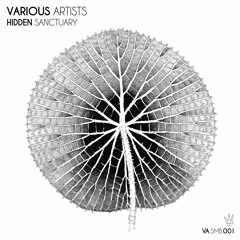 PREMIERE: Ayhan Akca - Underground (Original Mix) [SMB Records]