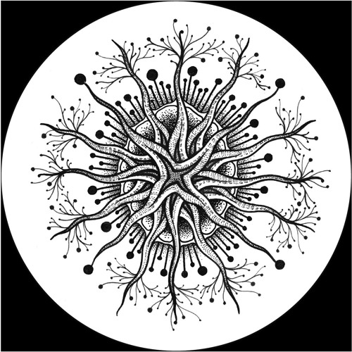 Ivan Szew - Full Circle [MT24]