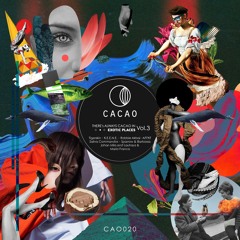 Premiere: Robbie Akbal - Jungle Hood [Cacao Records]