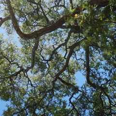 COOP WEEKENDER Basement Set // Sept 2019