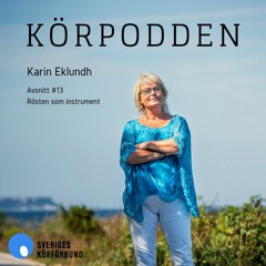 #13 - Rösten som instrument