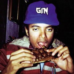 DJ Gin Tronik - Too Many Gonna Get It