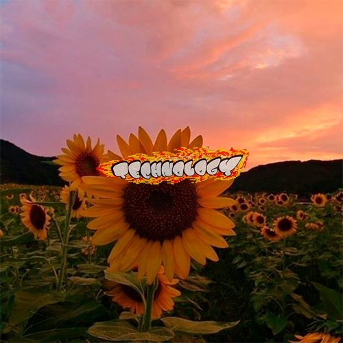 sunflower type beat