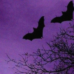 Ansiedade pode ser dificil de lidar ás vezes