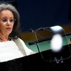 መደረ ፕረ. ሳህለወርቅ ዘውዴ ኣብ መበል 74 ሓፈሻዊ ዋዕላ ሕ/ሃ