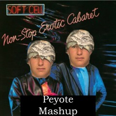 Soft Cell | Green Ketchup - Tainted Love x Dizco (Peyote Peyton Mashup)
