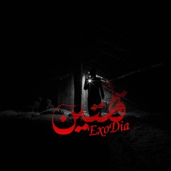 2ottin | قطتين