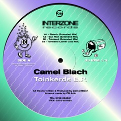 B2 - Toinkerd (Camel Club Mix)
