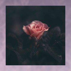 Essence & Zaini - Your Worst Mistake (ft. darkforestdrives)