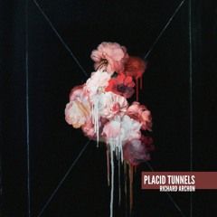 Placid Tunnels (Original Mix)