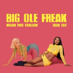 Megan Thee Stallion - Big Ole Freak (feat. Doja Cat) [MASHUP]