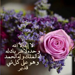 الكفر بالطغوت- الشيخ احمد ين عمر الحازمي