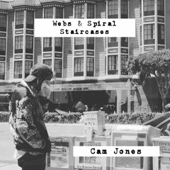Stebs & Wiral Sparcases