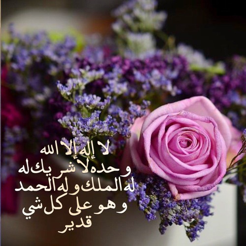 إن الحكم إلا لله- الشيخ احمد بن عمر الحازمي