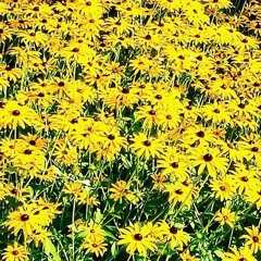 At the age of 20 / Hiroshi Kamayama + Rei Nakashi + Kazumi Yasui