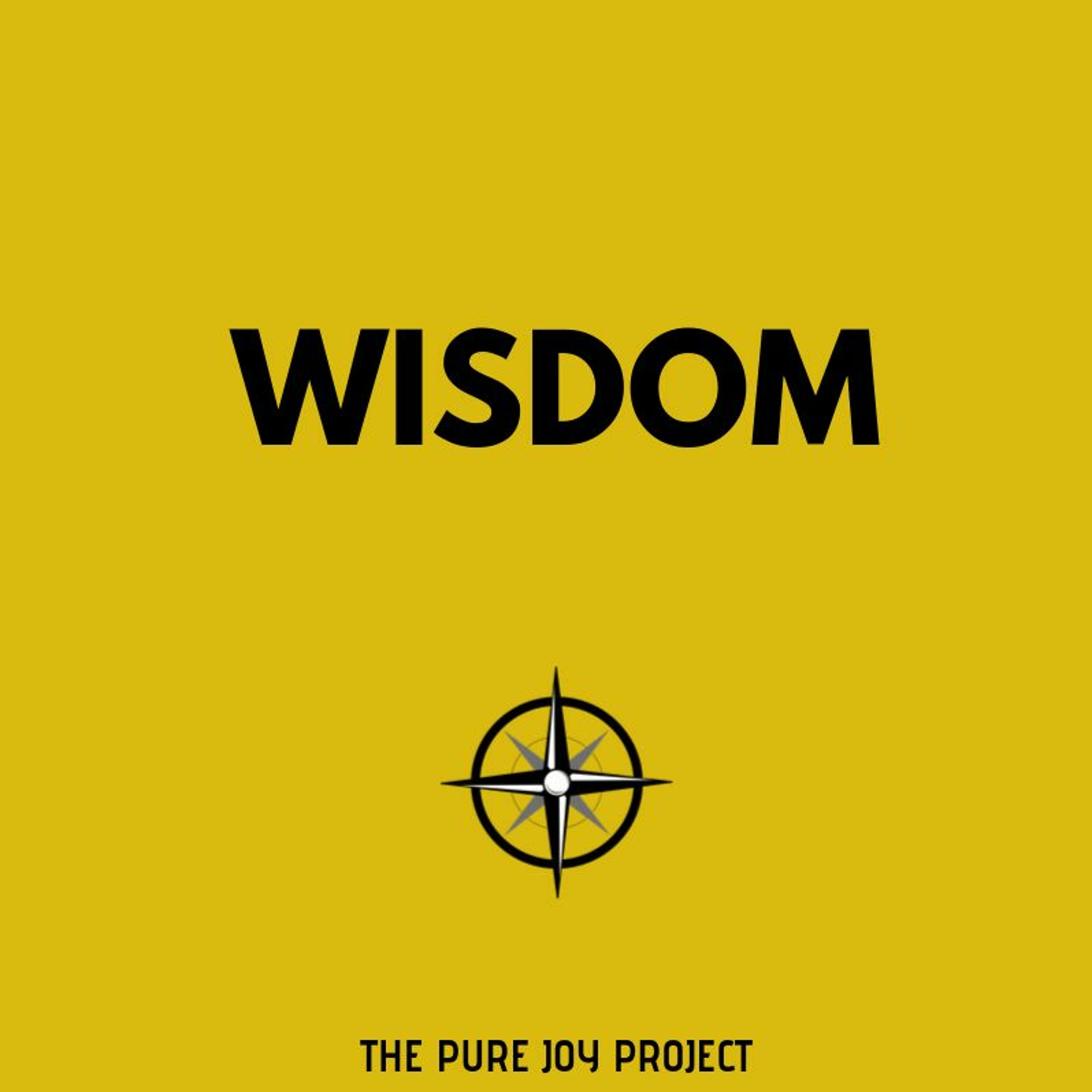 WISDOM episode artwork