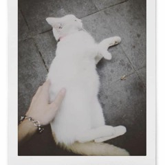 Kenji -Just ask for meeting you in my most beautiful years.