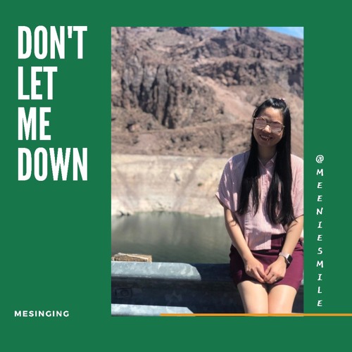Don't Let Me Down | Me singing